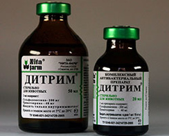 Дитрим