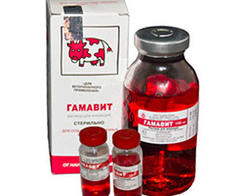 Гамавит